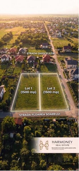 Sinesti 2 Loturi x 1.500 mp (sau Domeniu 3.000 mp) in Lilieci,
